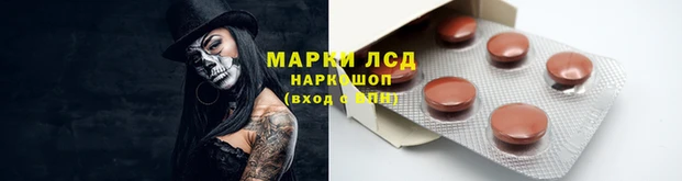 сатива Алексеевка