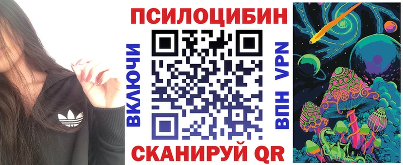 Галлюциногенные грибы GOLDEN TEACHER  наркотики  Краснознаменск 