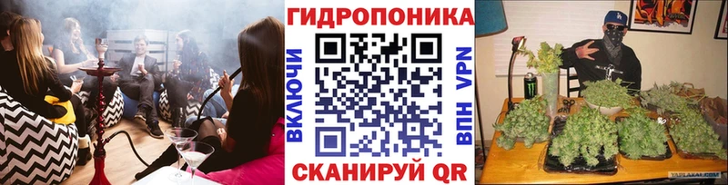 Шишки марихуана марихуана Краснознаменск